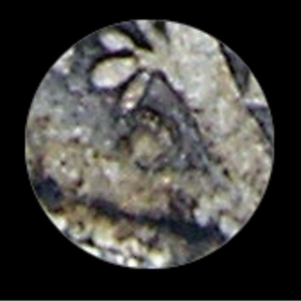 1916-D-Mercury-Dime-...-Or-Not?